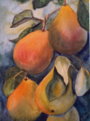 Comice Pears - SOLD