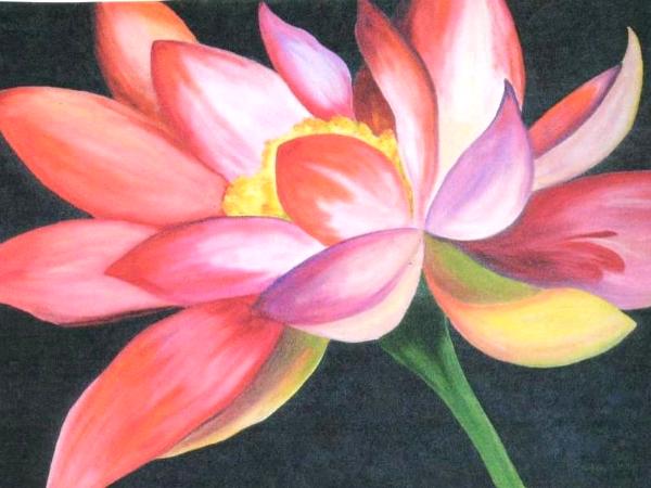 Nancy's Waterlily - SOLD Commission