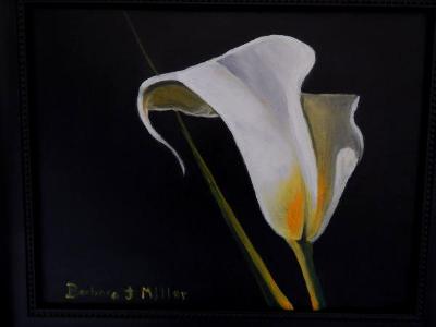 Calla Lily