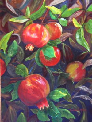 Pomegranate Tree - SOLD