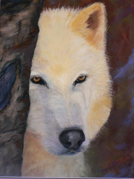 Shy Wolf - SOLD