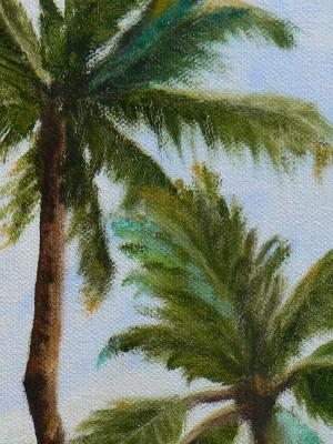 Palm Tree I