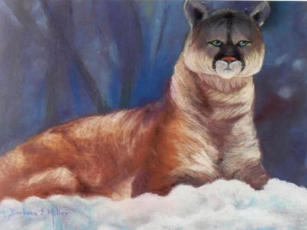 Cougar in the Snow I