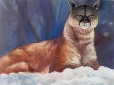Cougar in the Snow I